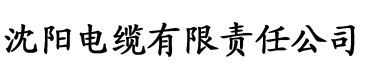 亚洲av成人一区二区三区高清电缆厂logo